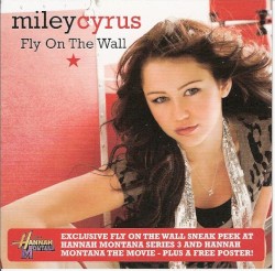 Fly on the Wall