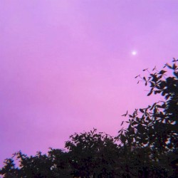 Fade Away