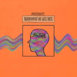 Brainwaves on Late Days
