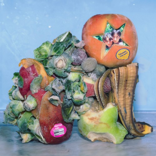 Fruit for Flies
