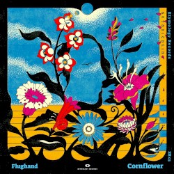 Cornflower
