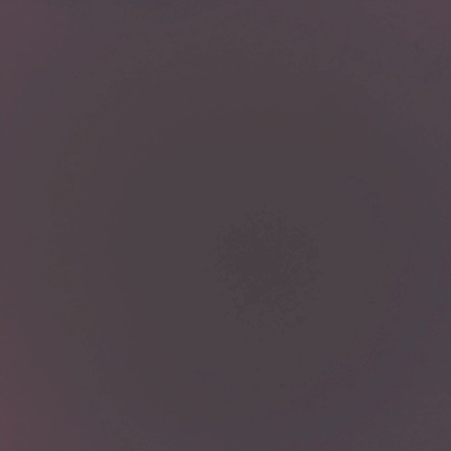 .+