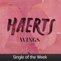 Wings