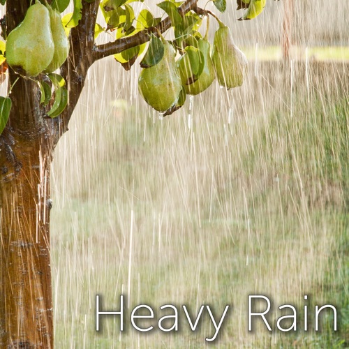 Heavy Rain