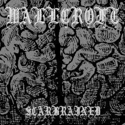 Scarbrained
