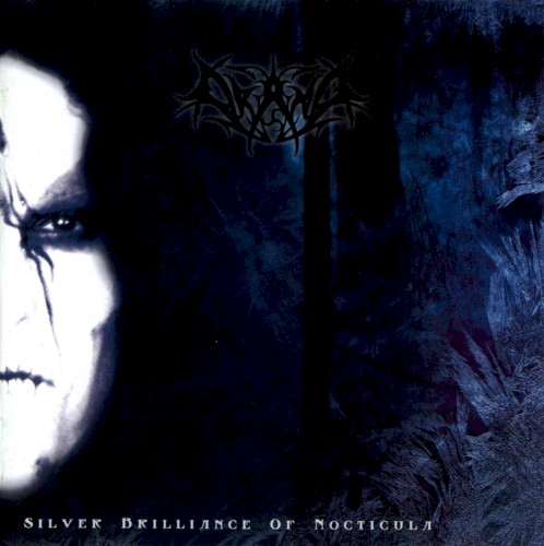 Silver Brilliance of Nocticula