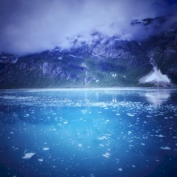 The Frigid Cold Versions