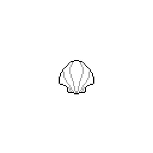 Seashells