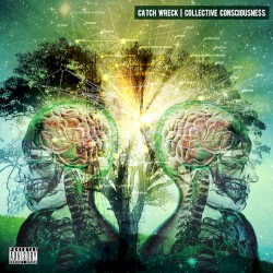 Collective Consciousness