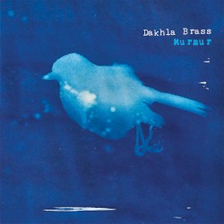 Murmur