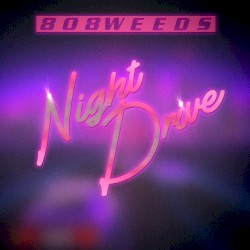 Night Drive