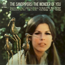 The Wonder of You