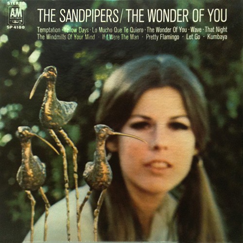 The Wonder of You