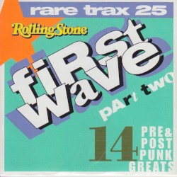 Rolling Stone: Rare Trax, Volume 25: First Wave, Part Two: 14 Pre & Post Punk Greats