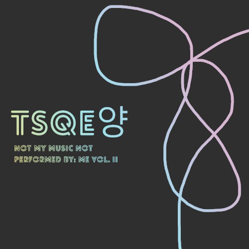 Not My Music Not Performed by Me, Vol. 2