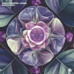 Vicara (Magnetik remix)