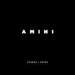 AMINI