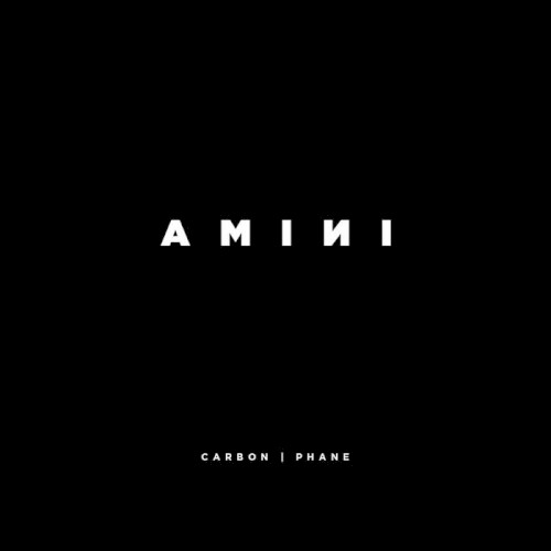 AMINI