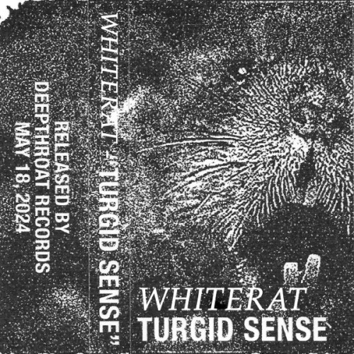 Turgid Sense