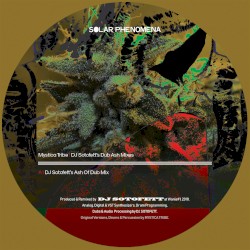 DJ Sotofett’s Dub Ash Mixes