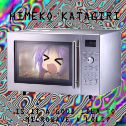 Is It a Good Idea to Microwave a Loli?