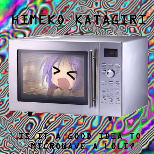 Is It a Good Idea to Microwave a Loli?