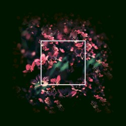 Flowertraces