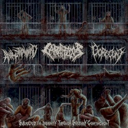 Subjected to Insanity Through Solitary Confinement
