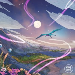 Under the Night Sky