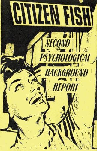 Second Psychological Background Report