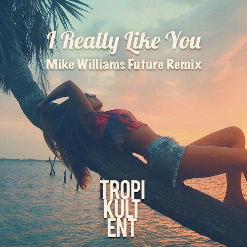 I Really Like You (Mike Williams Remix)