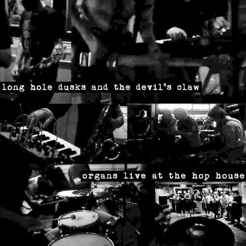Long Hole Dusks and the Devil's Claw: Organs Live at the Hop House