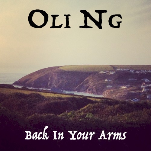 Back in Your Arms