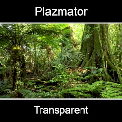 Transparent