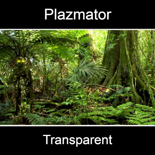 Transparent