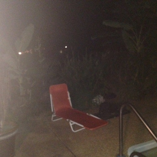 Sitting Wulf