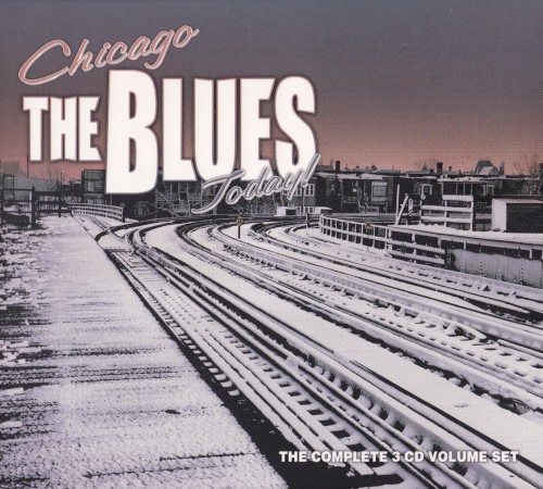 Chicago: The Blues Today