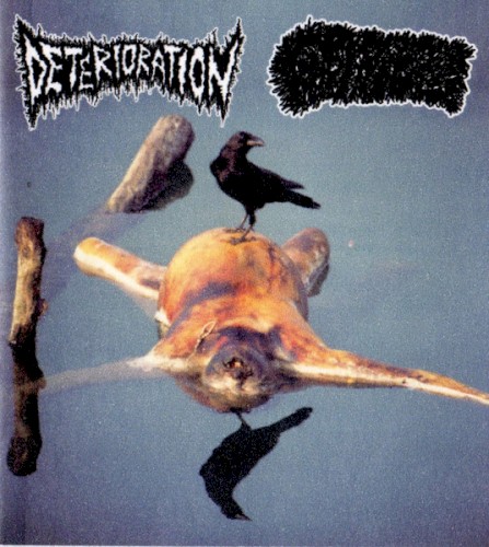 Deterioration / Gastroptosis