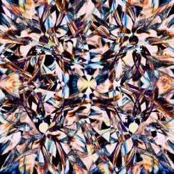 EDELIS