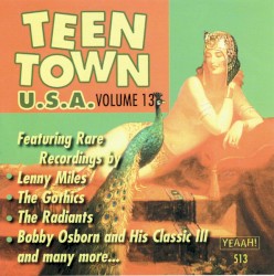 Teen Town USA, Volume 13