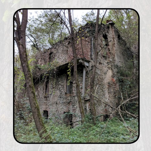 Moonlit Missive #76