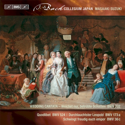 Secular Cantatas, Volume 3
