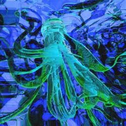 Jellyfish Symphony