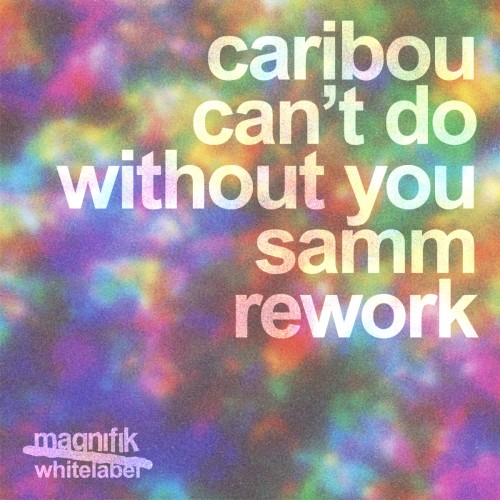 Can’t Do Without You (Samm rework)