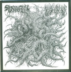 Spectral Voice / Blood Incantation