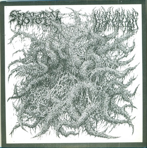 Spectral Voice / Blood Incantation