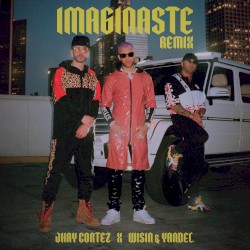 Imaginaste (remix)