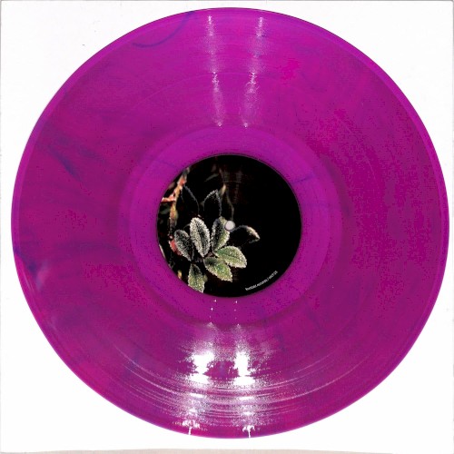 Lakeland Dubs EP