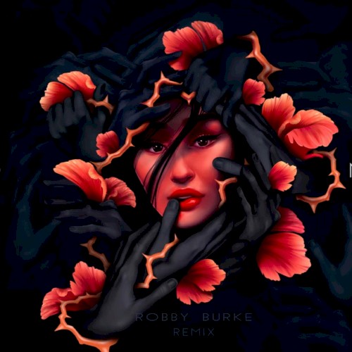 Mano nuodėmė (Robby Burke remix)