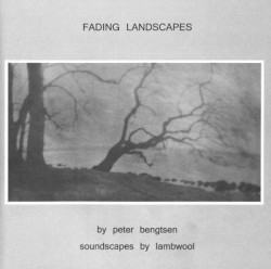 Fading Landscapes